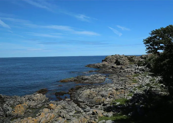 Hébergement de vacances 6676-allinge-sdr-strandvej-122